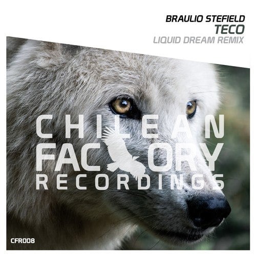 Braulio Stefield, Liquid Dream-Teco (Liquid Dream Remix)