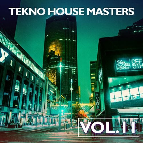 Various Artists-Tekno House Masters, Vol. 11