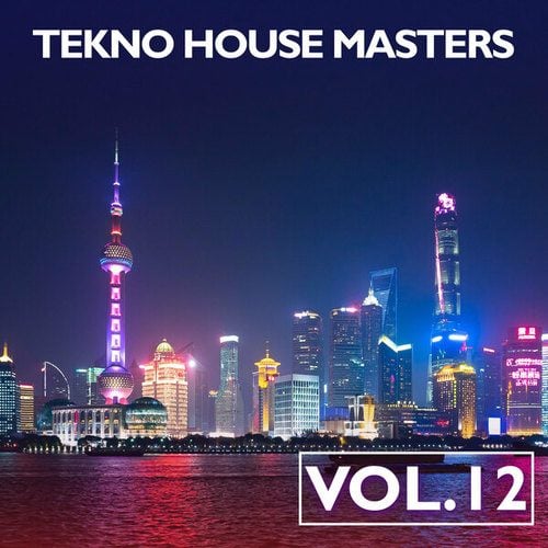 Various Artists-Tekno House Masters, Vol. 12