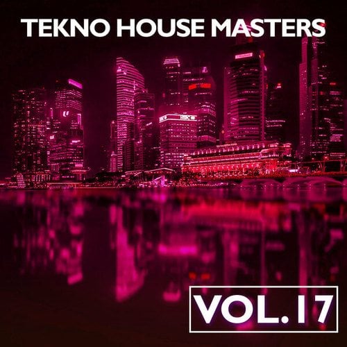 Various Artists-Tekno House Masters, Vol. 17
