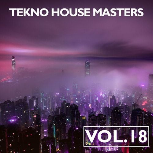 Tekno House Masters, Vol. 18