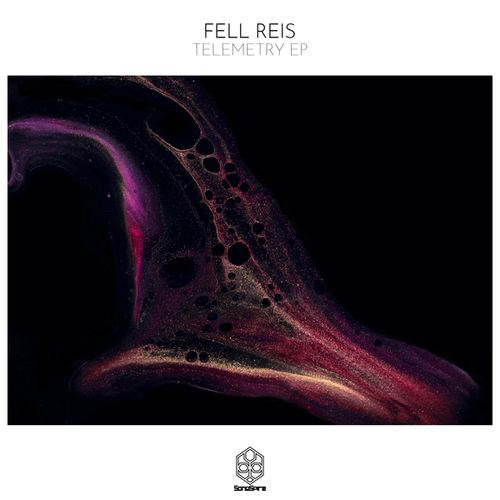 Fell Reis-Telemetry EP