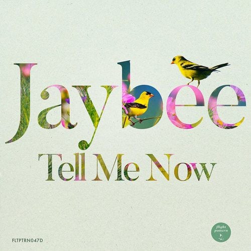 Jaybee, Random Movement, MC Fats-Tell Me Now EP