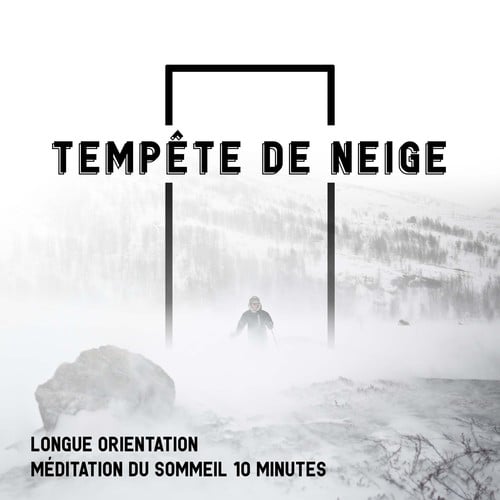 Tempête de neige