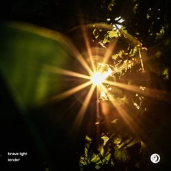 Tender - Brave Light