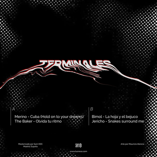 Various Artists-Terminales