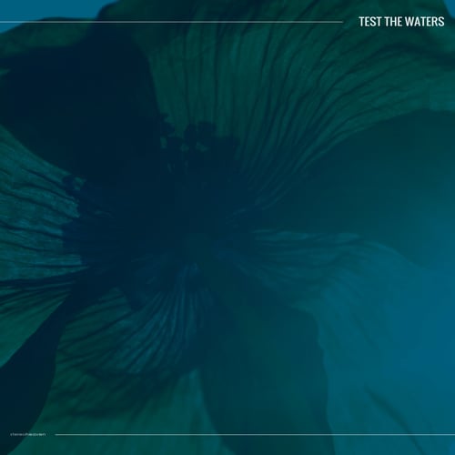 Various Artists-Test the Waters