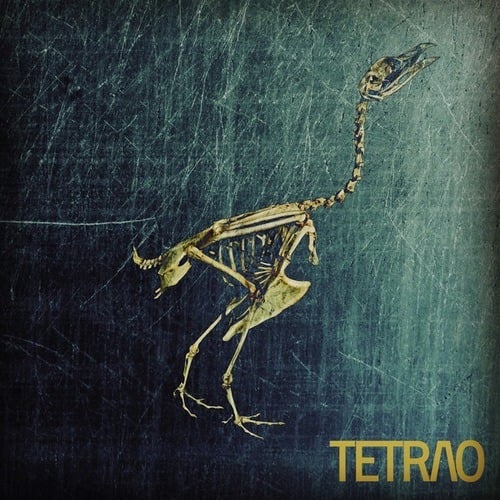 Various Artists-TETRAO V