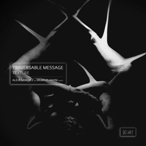 Traversable Message, Aleja Sanchez, Sicarius Hahni-Texture