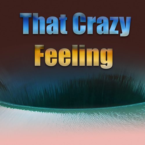 Various Artists-That Crazy Feeling