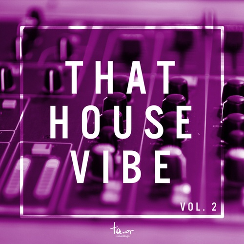 Various Artists-That House Vibe, Vol. 2