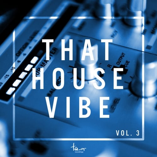 Various Artists-That House Vibe, Vol. 3