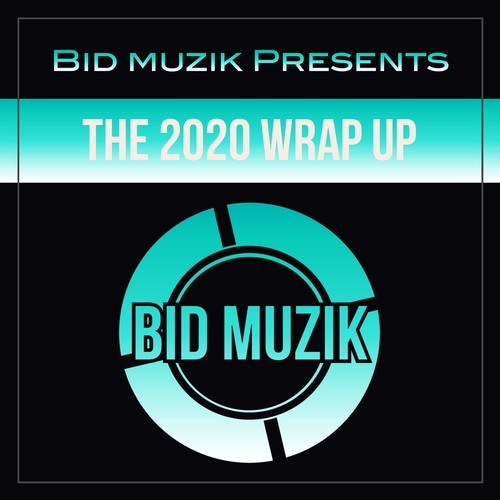 Various Artists-The 2020 Wrap Up