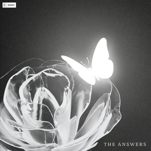 Babaz-The Answers