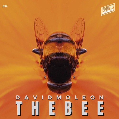 David Moleon-The Bee