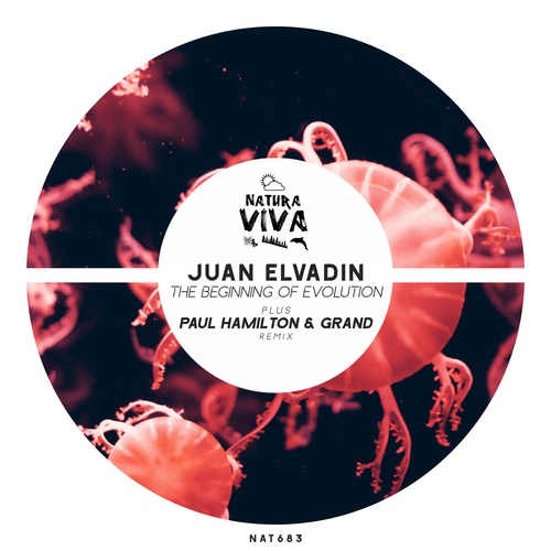 Juan Elvadin, Paul Hamilton, Grand-The Beginning of Evolution