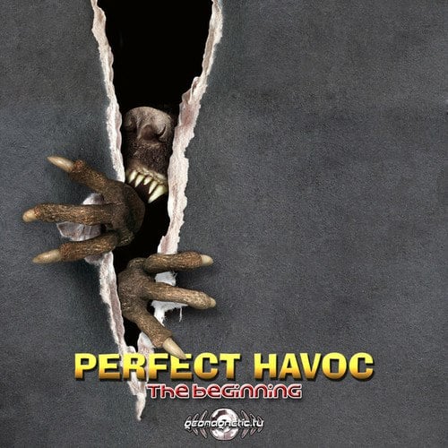 Perfect Havoc-The Beginning
