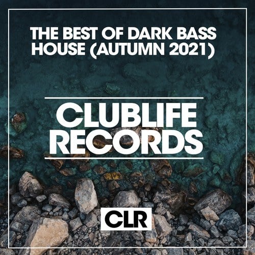 Various Artists-The Best of Dark Bass House Autumn 2021