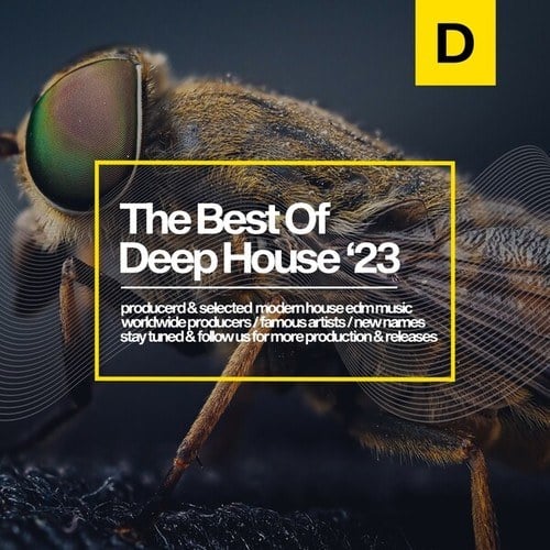 Various Artists-The Best of Deep House 2023