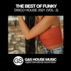 The Best of Funky Disco House 2021, Vol. 2