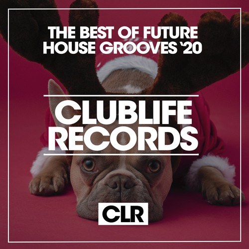 Various Artists-The Best of Future House Grooves '20