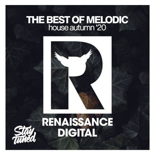 Various Artists-The Best of Melodic House Autumn '20