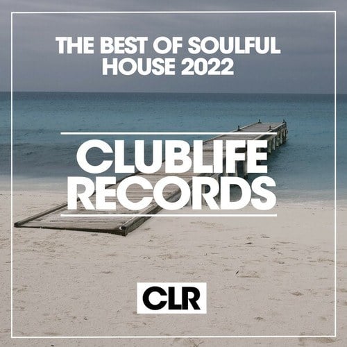 Various Artists-The Best of Soulful House Summer 2022