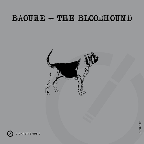 Baoure-The Bloodhound