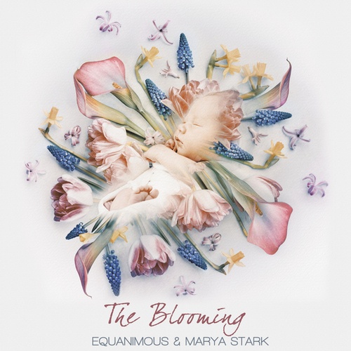 Equanimous, Marya Stark-The Blooming