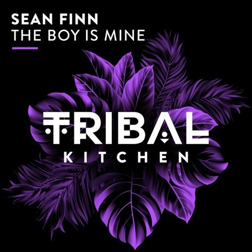 Sean Finn-The Boy Is Mine