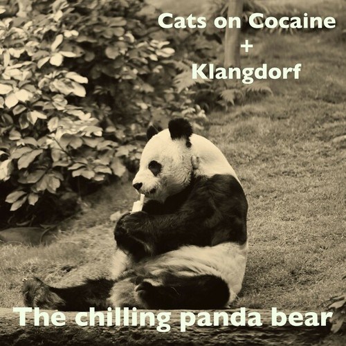 The Chilling Panda Bear