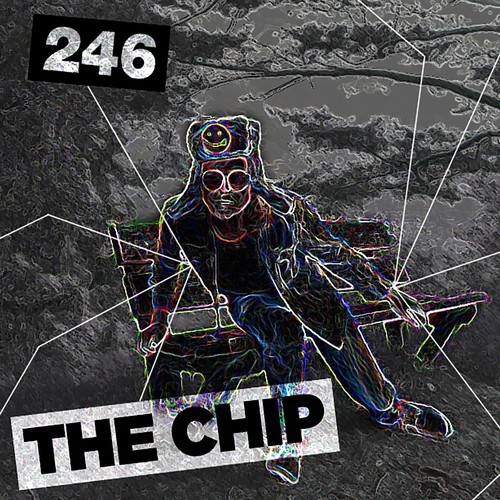 246-The Chip