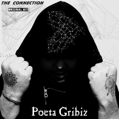 Poeta Gribiz-The Connection