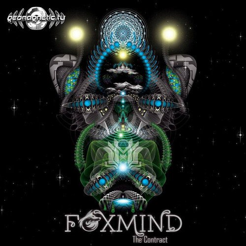 Foxmind-The Contract