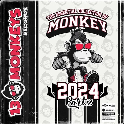 The Essential Collection of Monkey 2024 - Part.2