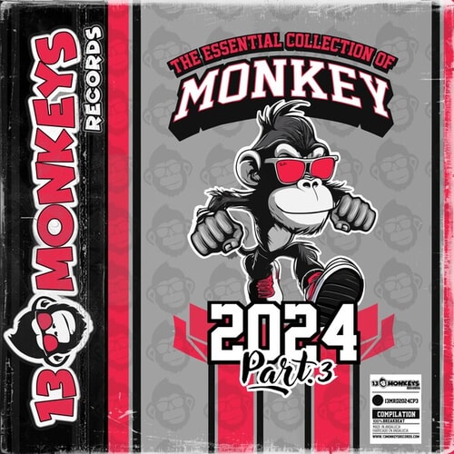 The Essential Collection of Monkey 2024 - Part.3