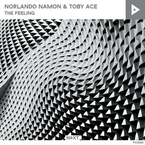 Norlando Namon & Toby Ace-The Feeling