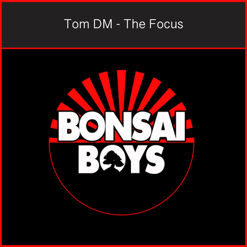 Tom DM-The Focus