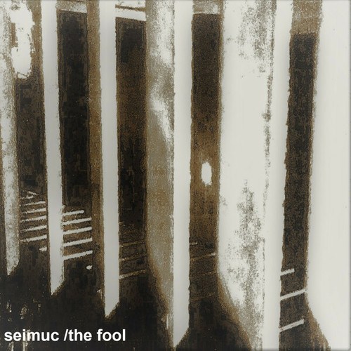 Seimuc-The Fool