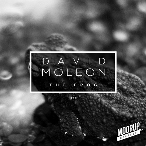David Moleon-The Frog