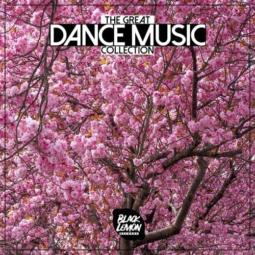 Various Artists-The Great Dance Music Collection