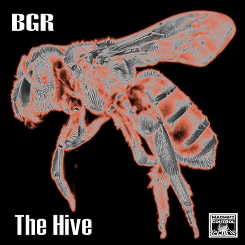 BGR (Beat Groove Rhythm)-The Hive