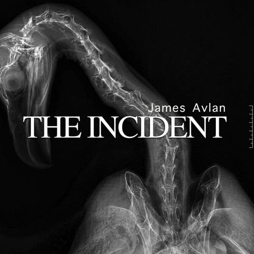 James Avlan-The Incident