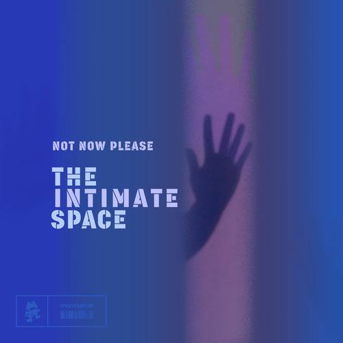 Not Now Please-The Intimate Space
