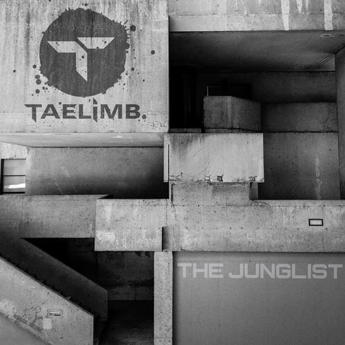 Taelimb, Conscience-The Junglist EP