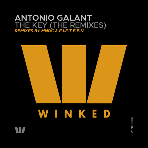 Antonio Galant, MNDC, F.I.F.T.E.E.N-The Key (The Remixes)