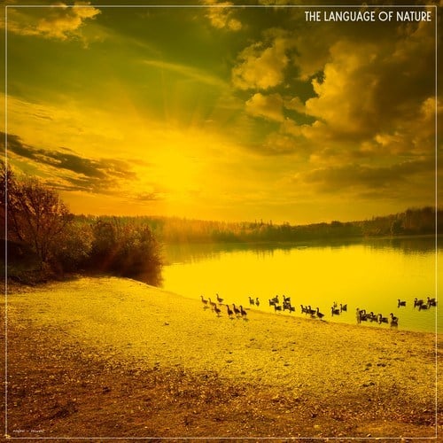 Various Artists-The Language of Nature