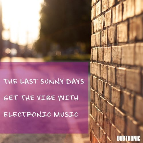 Various Artists-The Last Sunny Days Get the Vibe with Electronic Music