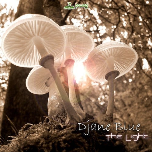 Djane Blue-The Light