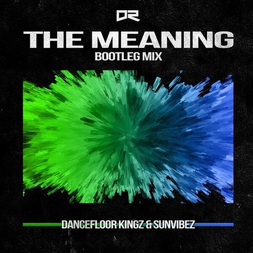 Dancefloor Kingz, Sunvibez-The Meaning (Bootleg Mix)
